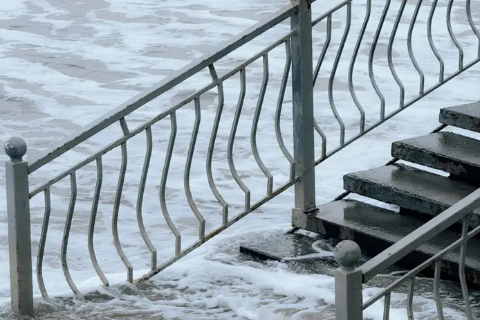 Karti Krumba pexels marina zvada