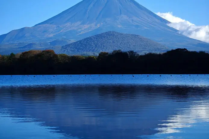 Karti Krumba pexels tianyun xia