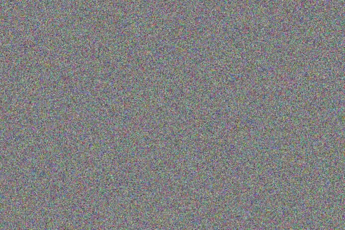 Kelly Zungu janine xaba