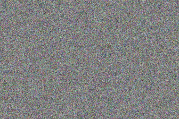 Lauren Wolmarans jackie mohamed