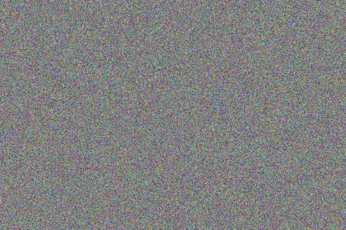 Leigh Makhanya bruce maluleke