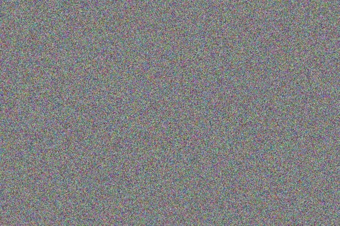 Marlene van der Westhuizen shaun makhubela