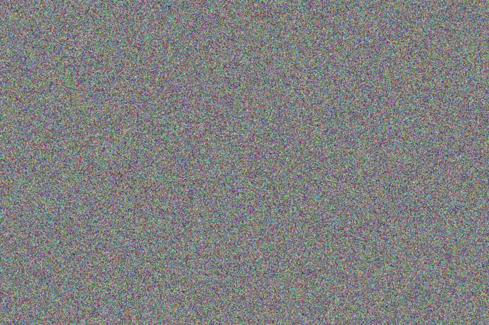 Nhlanhla Botha moses wessels