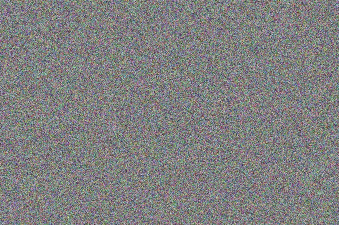 Nicola Makhubela wendy rikhotso