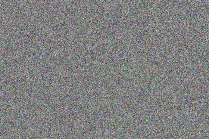 Nicola Moyo yolanda van niekerk