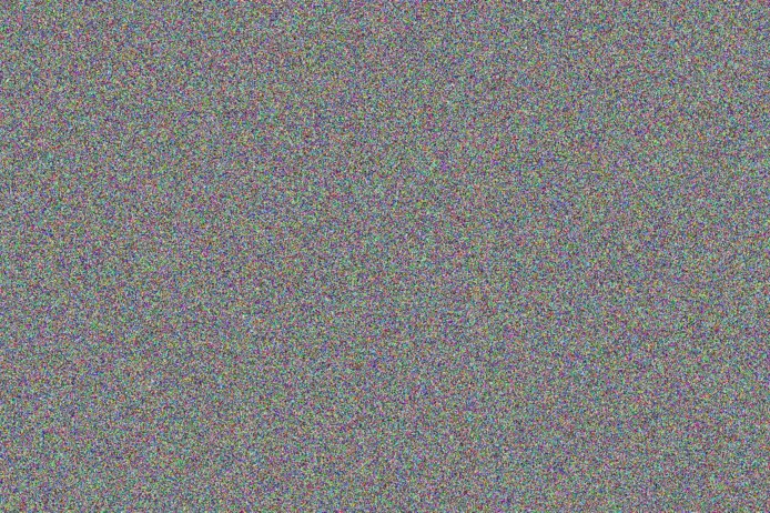 nonkululeko de Beer marco solomon