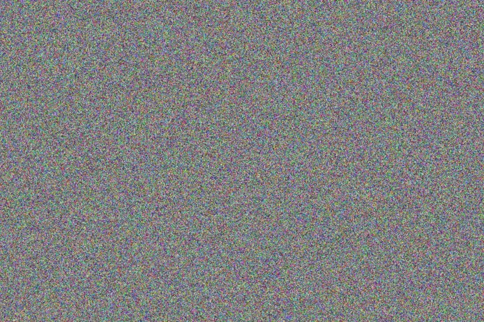 Priscilla Mamabolo innocent oberholzer