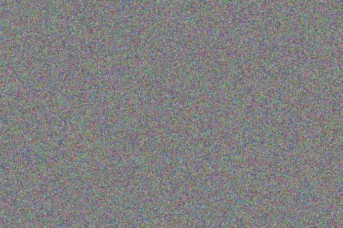 Quentin Kelly suzanne knight