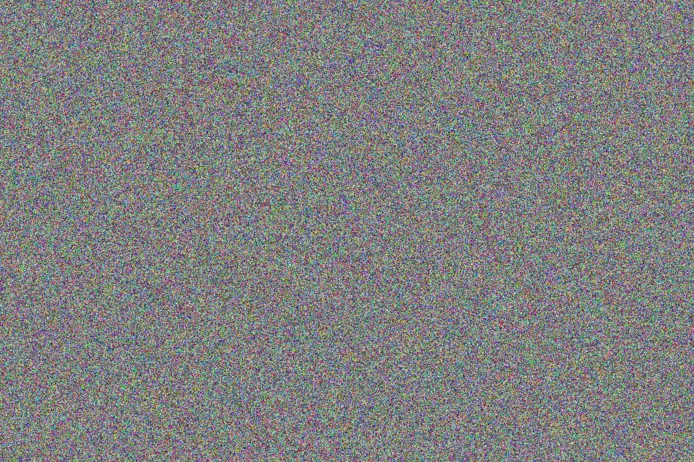 Rachel Chauke barbara ngema