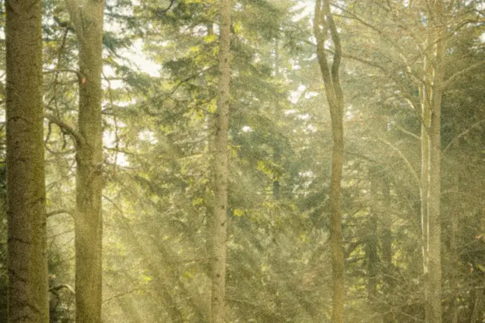 Rick Sanchez pexels michal miszczak