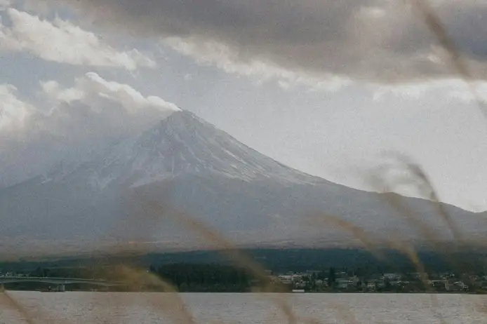 Testing Profile pexels mavimiro