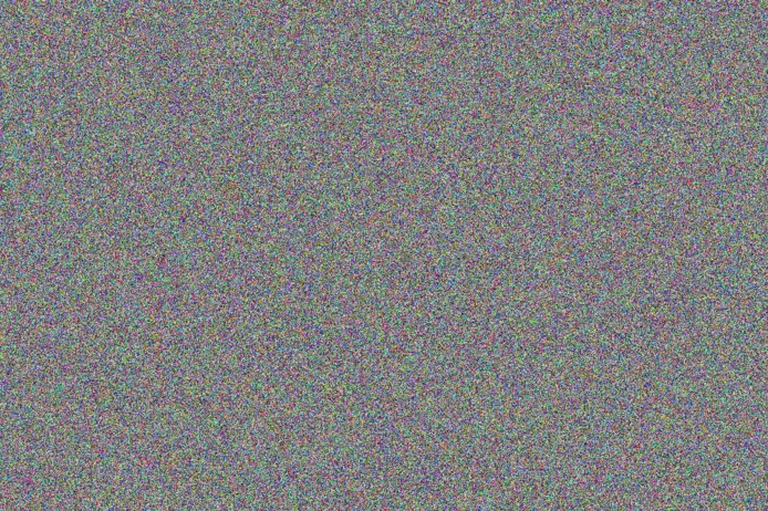 Tumelo Willemse alicia mkhize