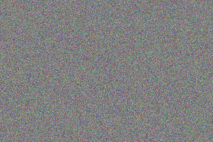 Vincent Stander lesley martin