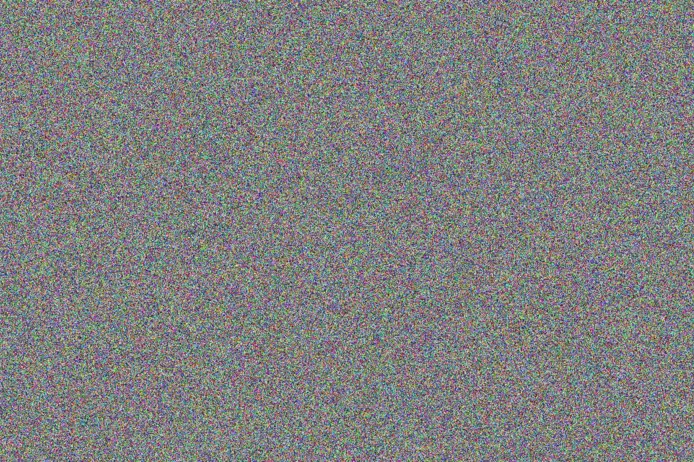 Zack Barton priscilla rosenbaum