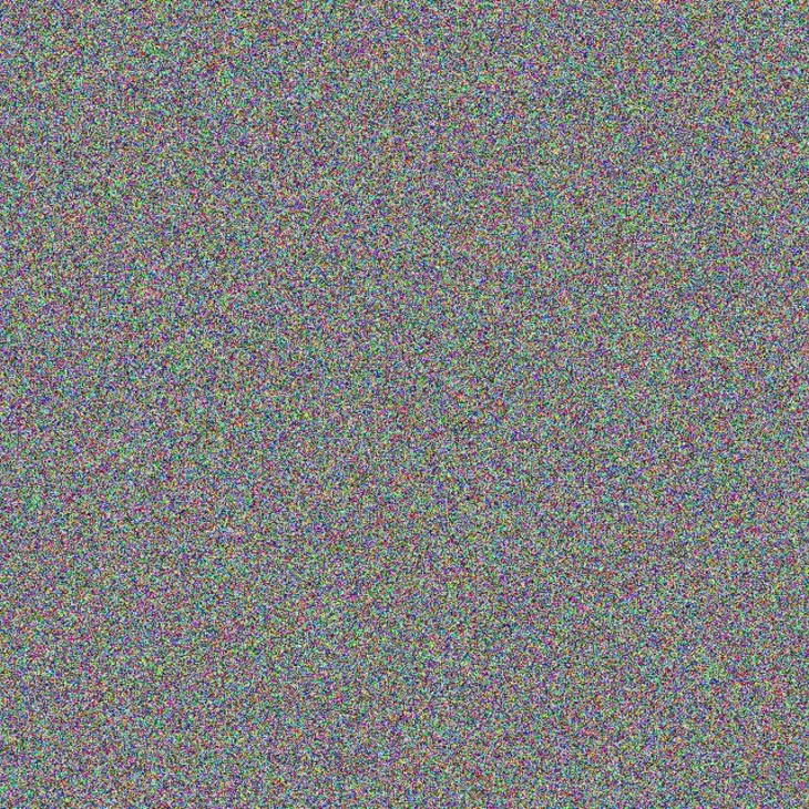 Grady Sauer talia schiller