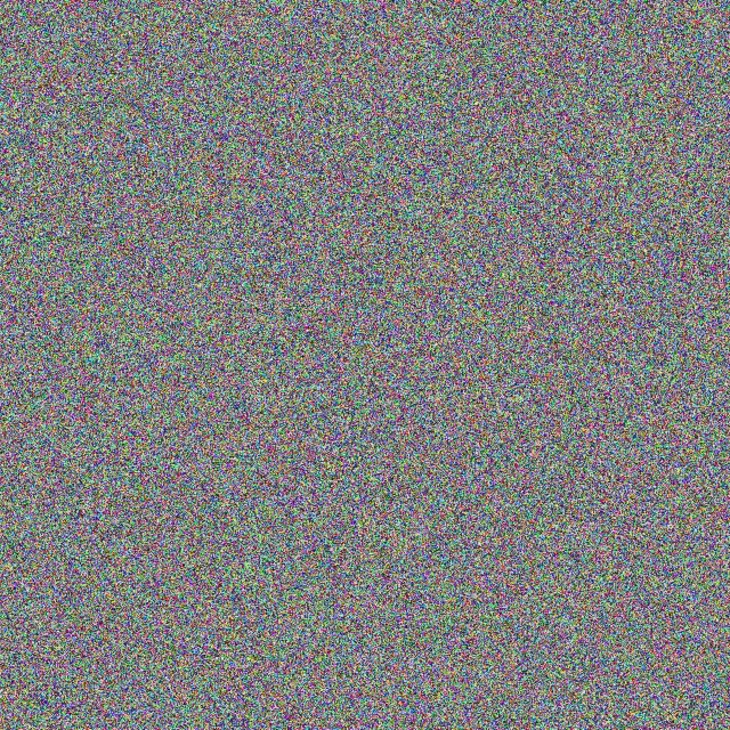 Kelly Young nicole burger