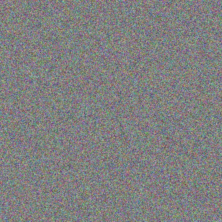 Wendy van der Merwe desiree ngwenya